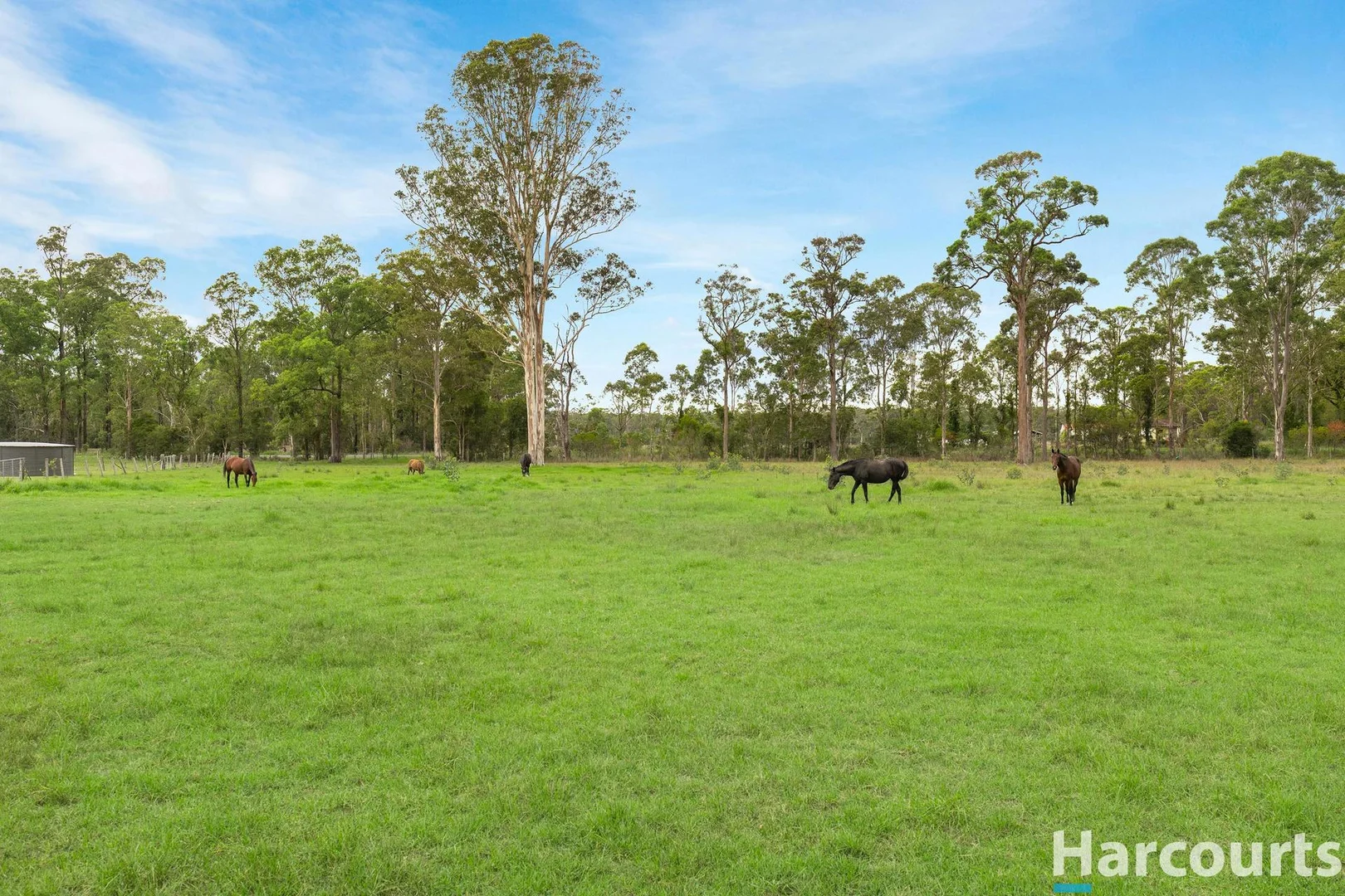 Additional image 30 of 571A The Bucketts Way, Limeburners Creek NSW 2324