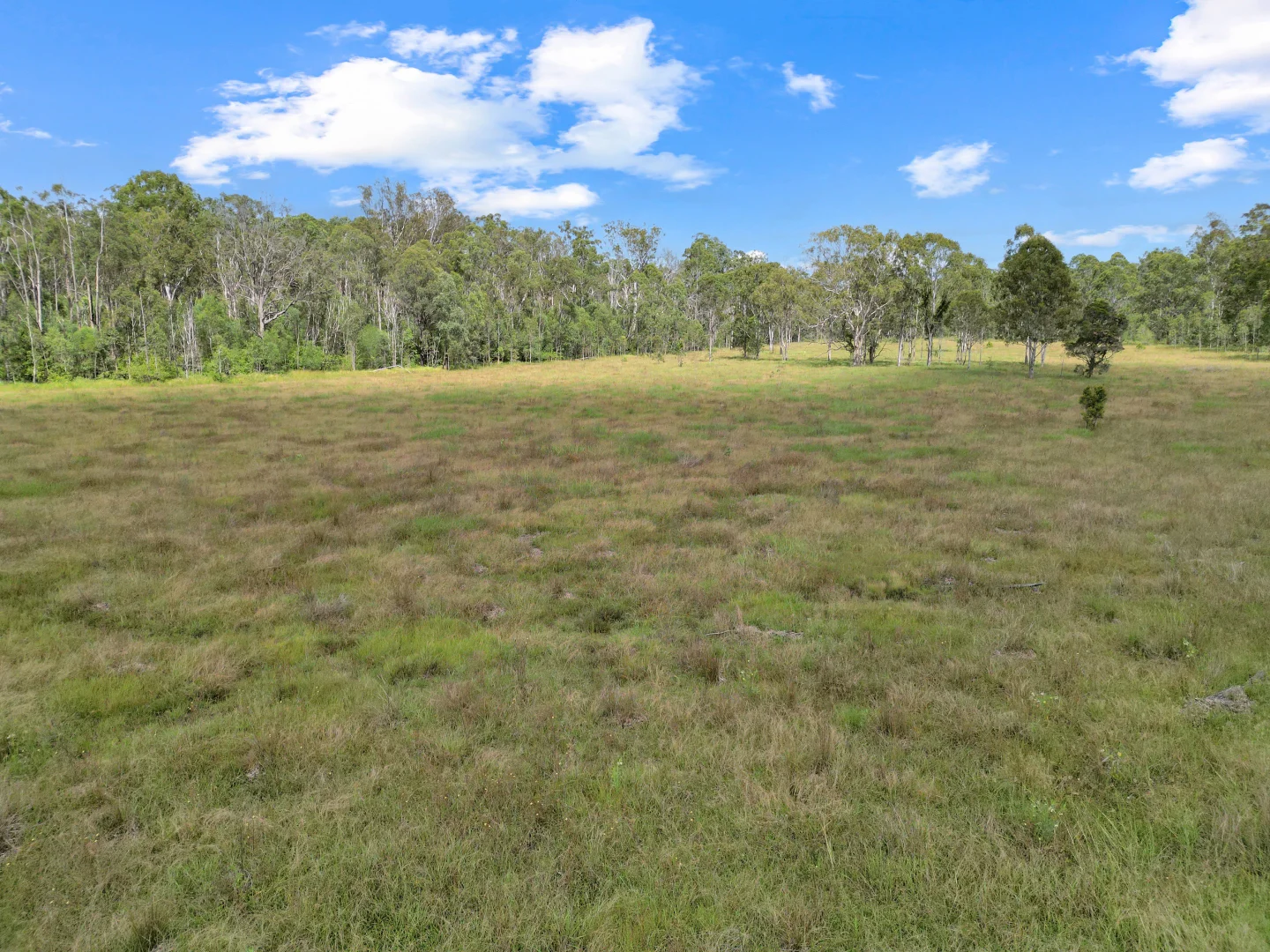 Additional image 5 of Lot 145 Ellangowan Myrtle Creek Road Ellangowan Via, Casino NSW 2470