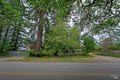 Additional image 13 of 8466 Templeman Rd, Forestville, CA, 95436