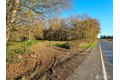 Additional image 30 of 5953 Old Olympic Hwy, Sequim, WA, 98382