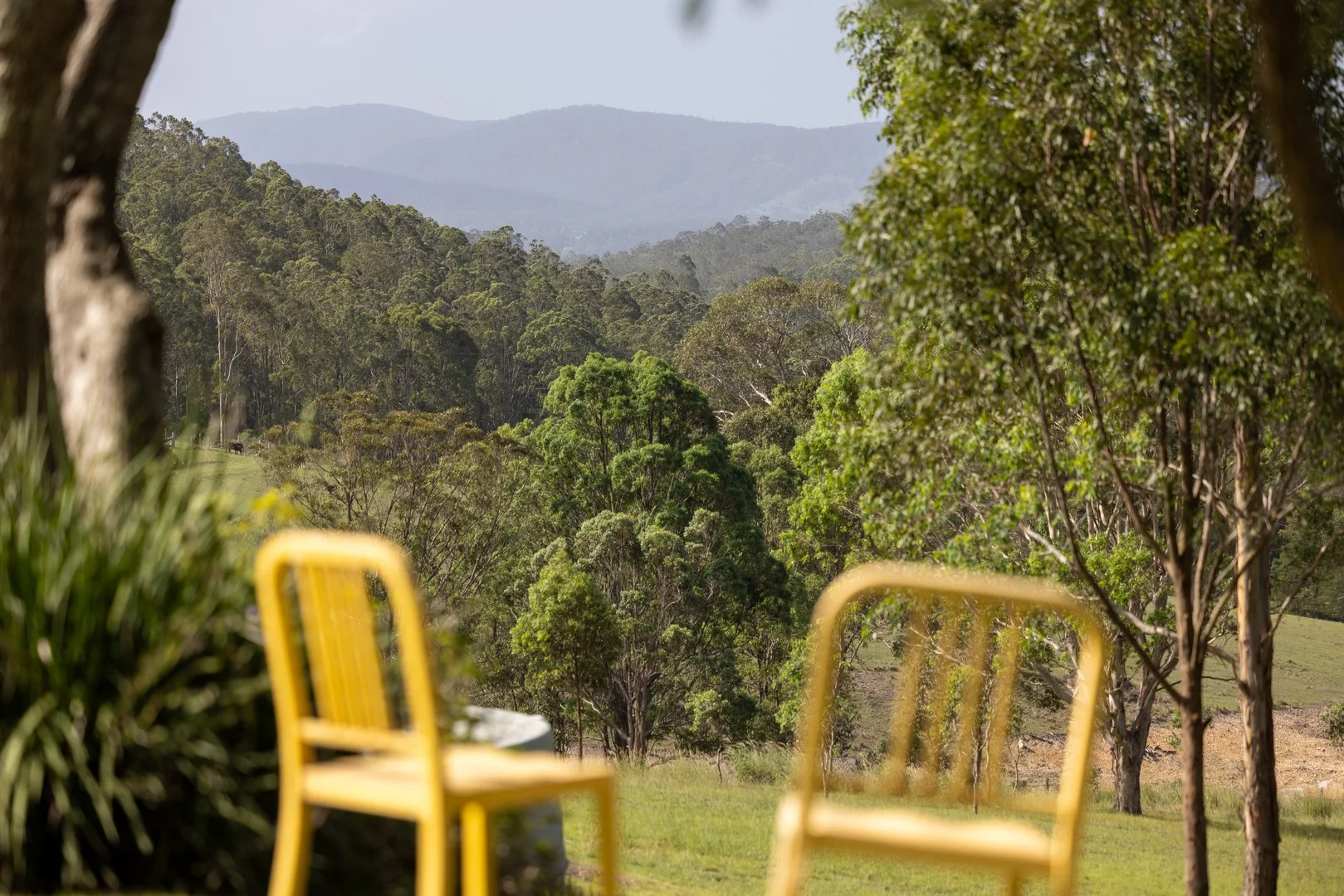 97 Bulby Close, Wang Wauk NSW 2423