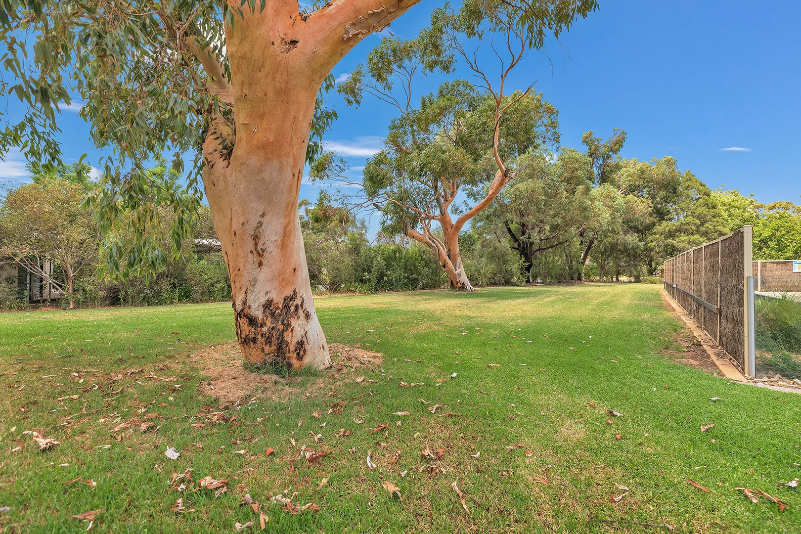 Additional image 22 of 22 Hollara Drive, Moama NSW 2731