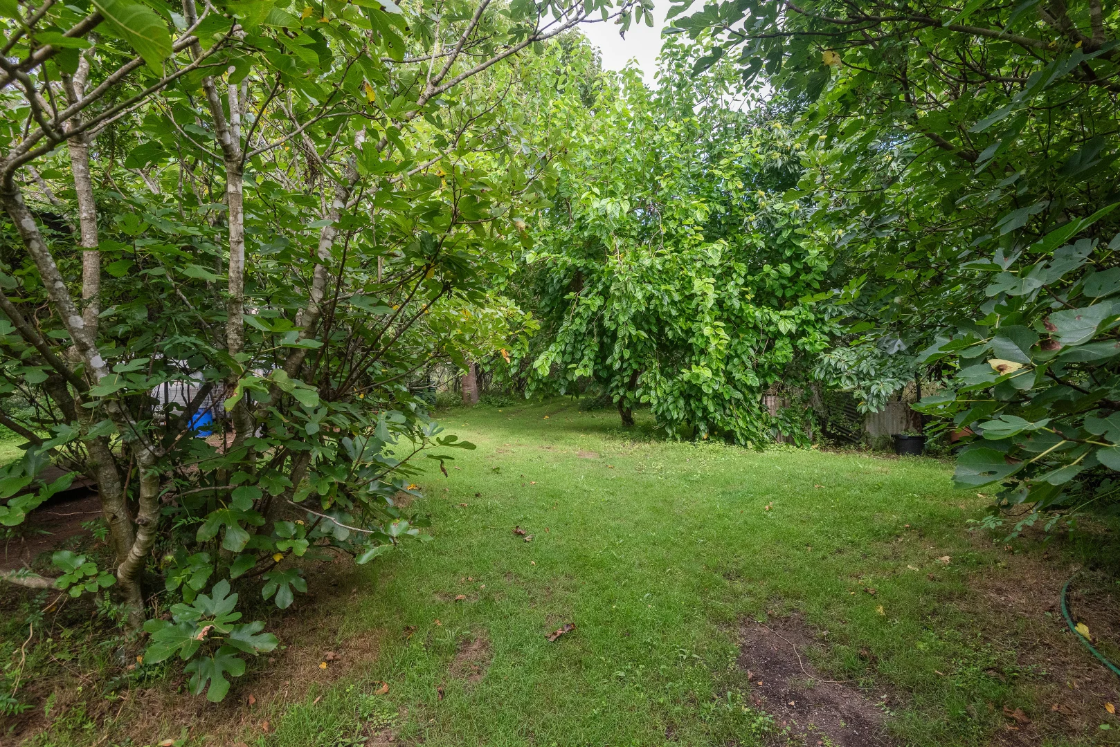 Additional image 12 of 2600 Araluen Road, Deua River Valley NSW 2537