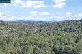 Additional image 39 of 421 Rose Ave, Mill Valley, CA, 94941