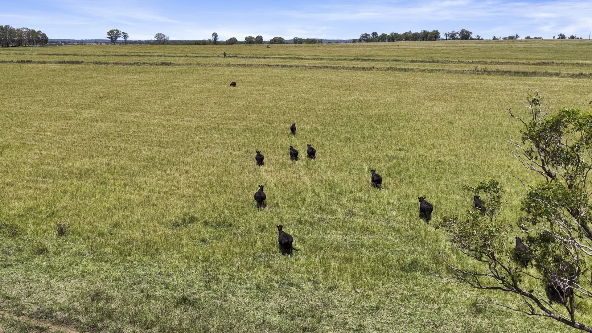Additional image 9 of 167 Stark Road, Talgai QLD 4362