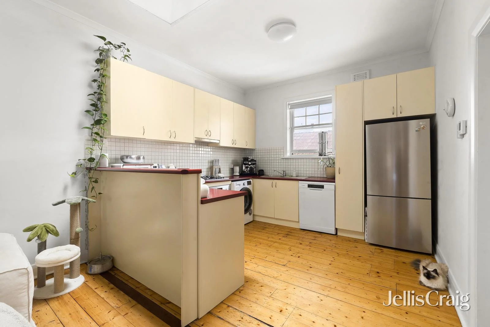 1/17 Ormond Road, Elwood VIC 3184 photo 5
