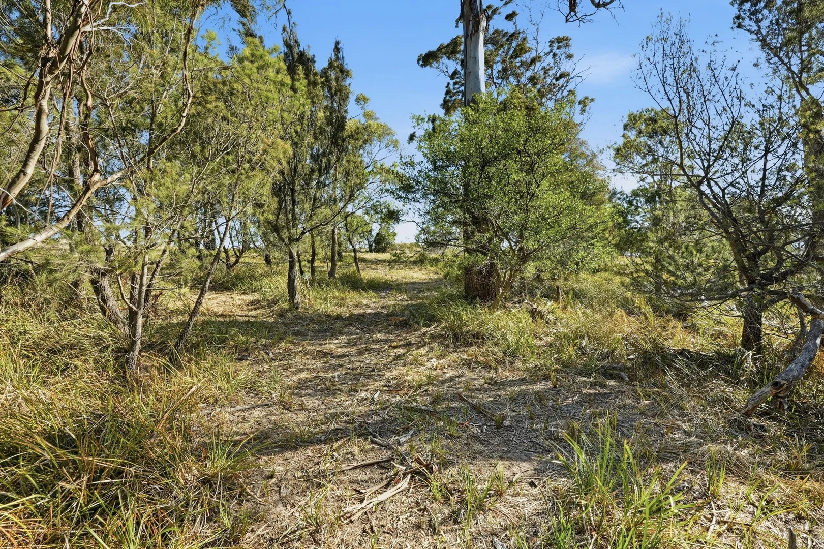 Additional image 7 of 3 Fynbos Court, Primrose Sands TAS 7173