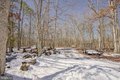 Additional image 19 of 26 Meetinghouse Ct, Shamong, NJ, 08088