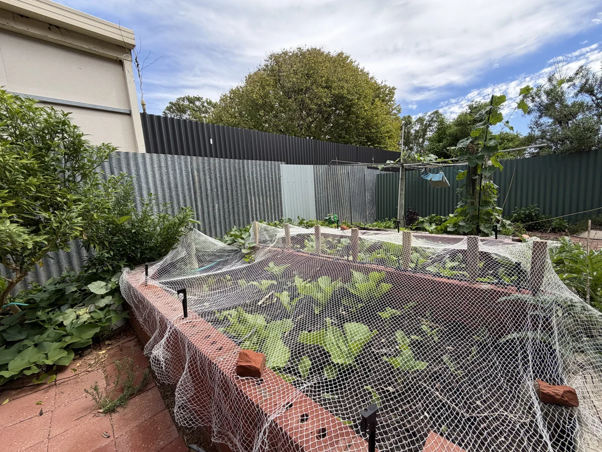 Additional image 36 of Units 1-3/1 Newton Street, Port Augusta SA 5700