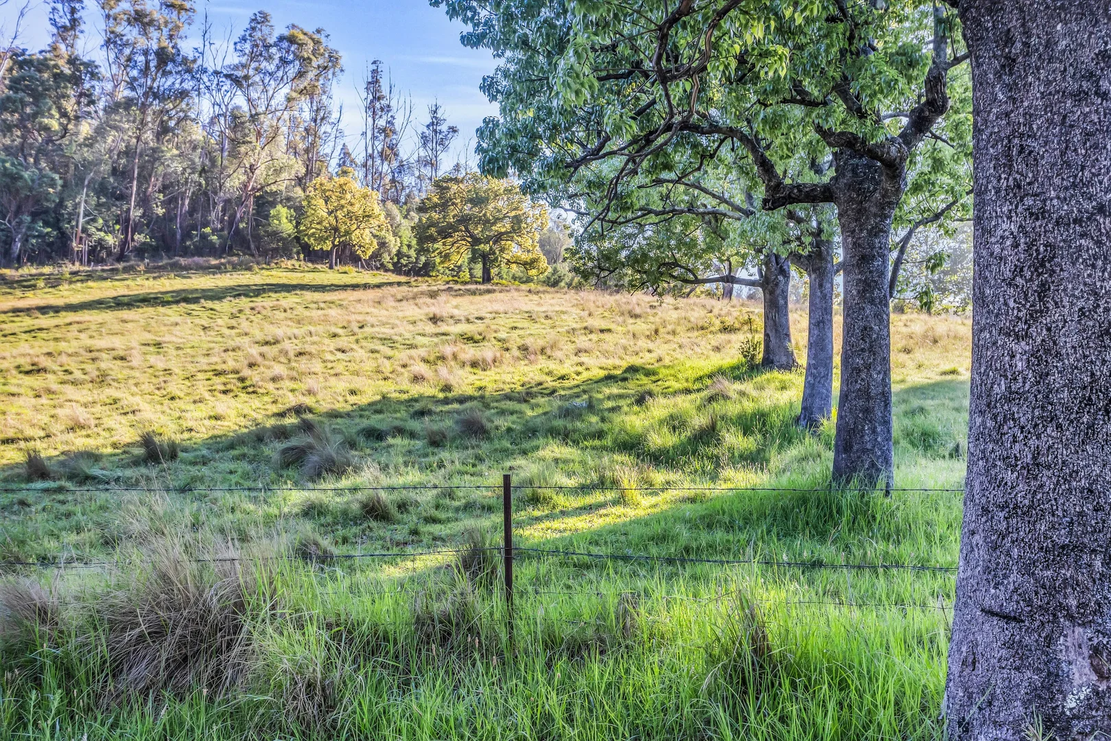 Additional image 11 of 718 Yowrie Road, Yowrie NSW 2550