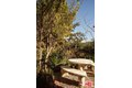 Additional image 19 of 4249 Torreon Dr, Woodland Hills, CA, 91364