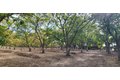Additional image 46 of 700 Wellsford Rd, Modesto, CA, 95357