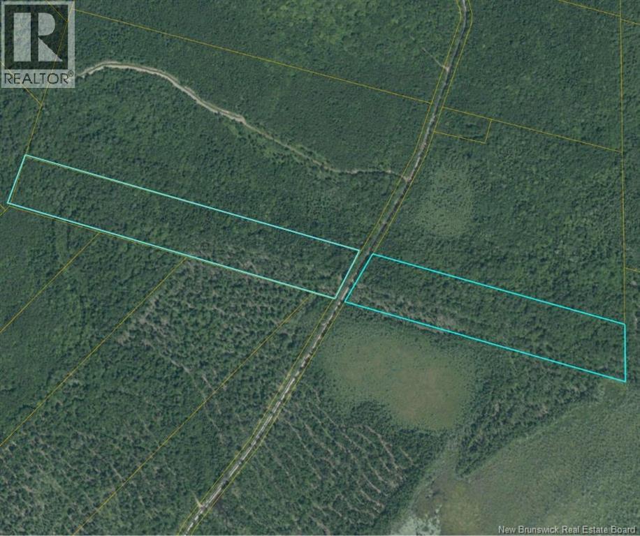 00 Woodlot 99 Chemin Richard - Saint-Norbert