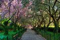 Additional image 19 of 110 Central Park S Apt 9B, New York, NY, 10019