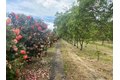 Additional image 4 of 700 Wellsford Rd, Modesto, CA, 95357
