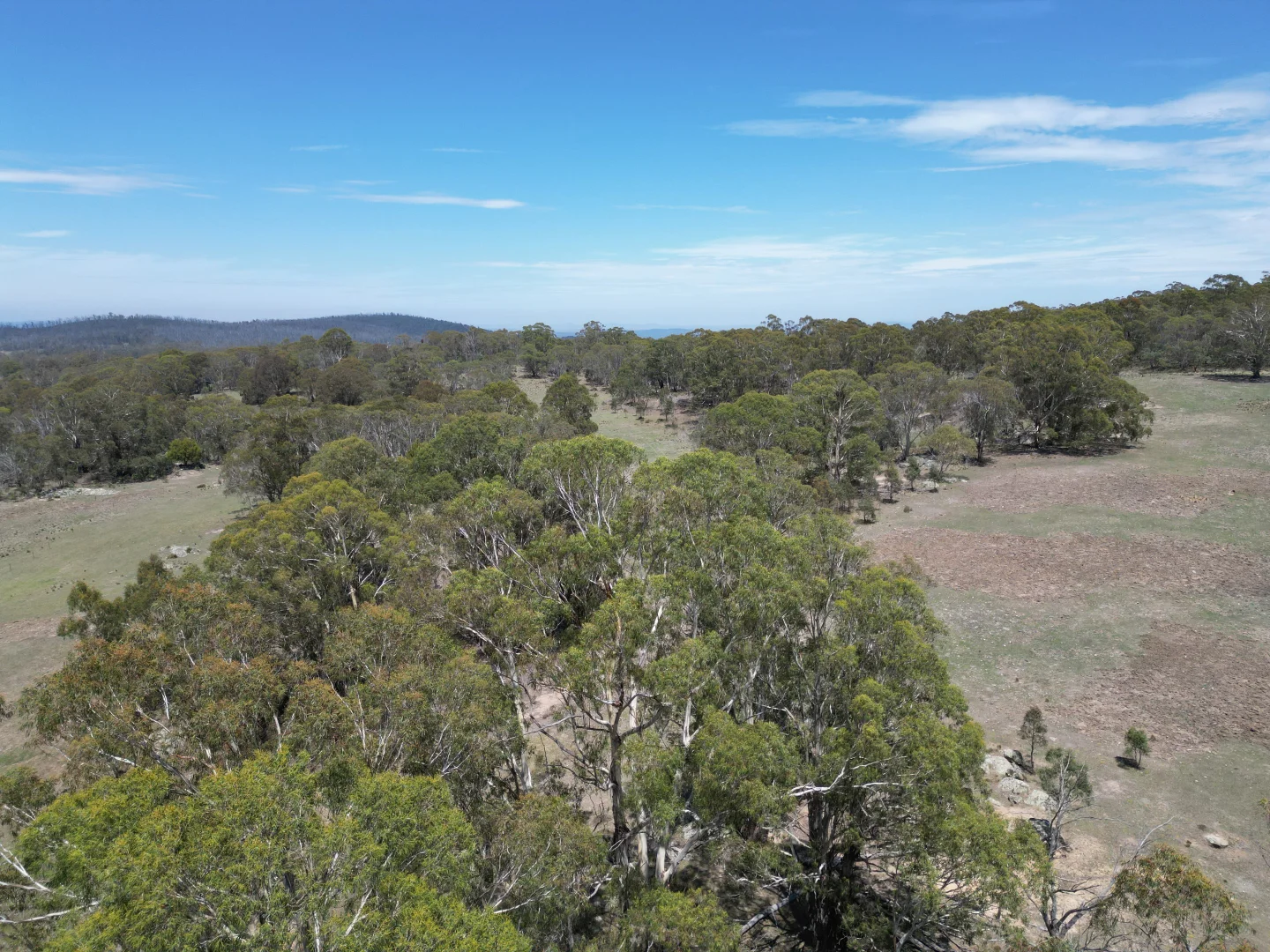 Additional image 19 of Lot 31/31, 175 Tumbledown Road, Peak View NSW 2630