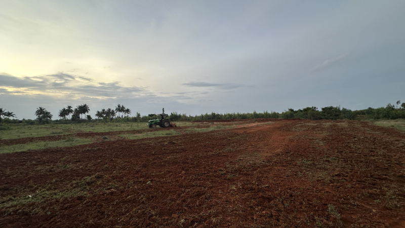 Additional image 3 of Hoskote, Bangalore