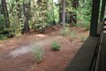 Additional image 17 of 1536 Meadowview Dr, Arnold, CA, 95223
