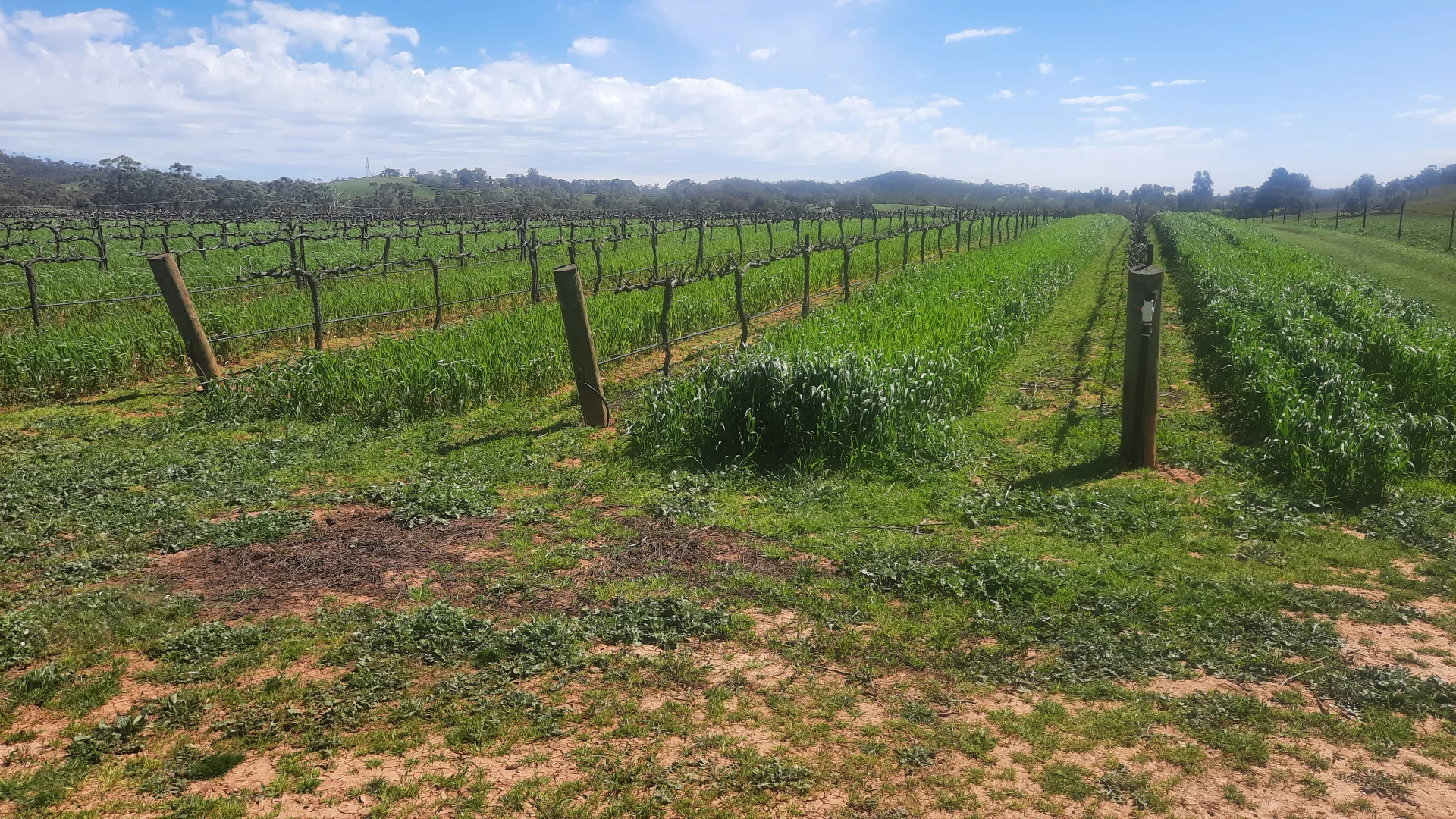 Additional image 9 of 285 Neagles Rock Road, Clare SA 5453