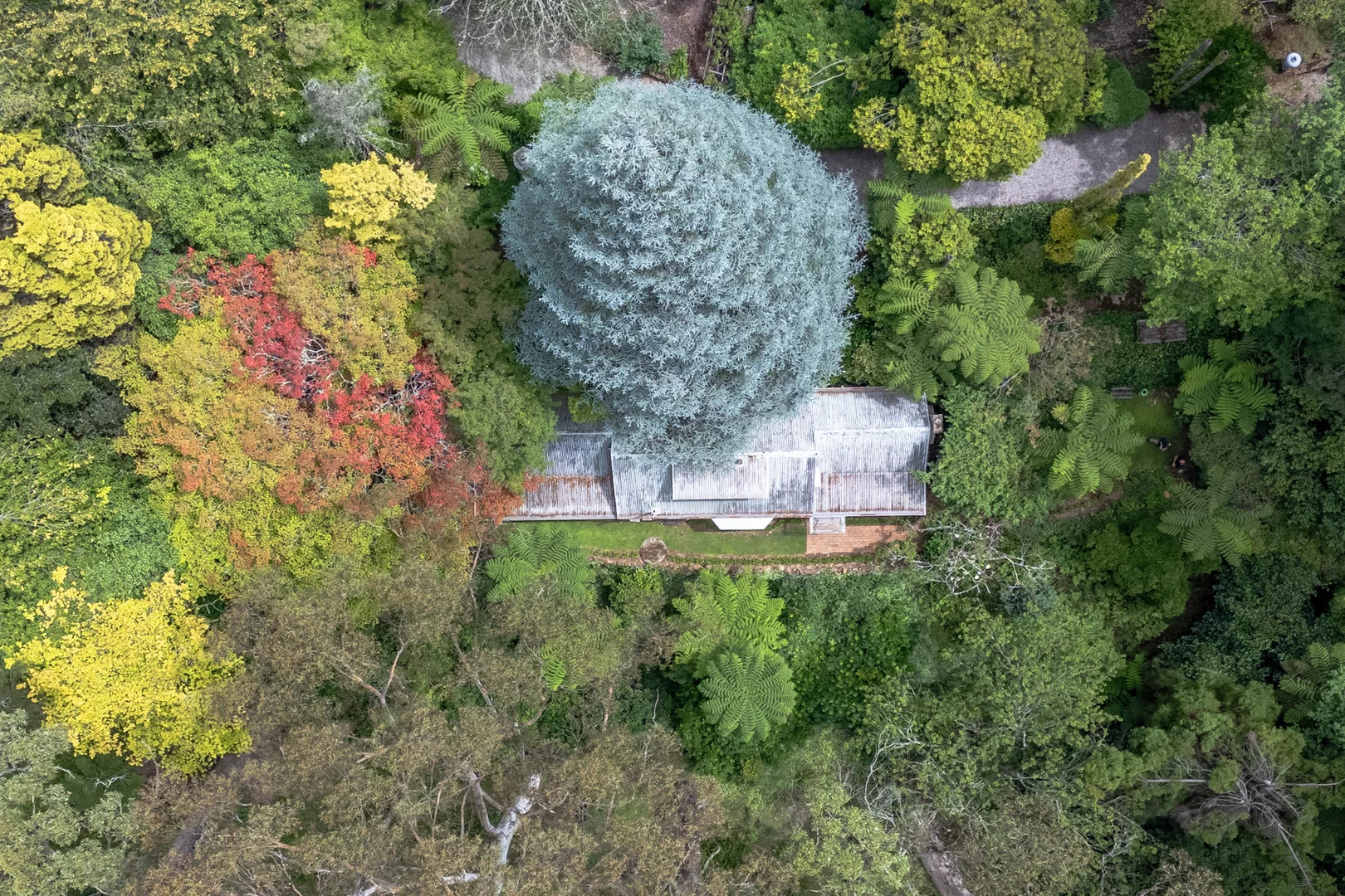 Additional image 21 of 17-21 Wynnes Rocks Road, Mount Wilson NSW 2786