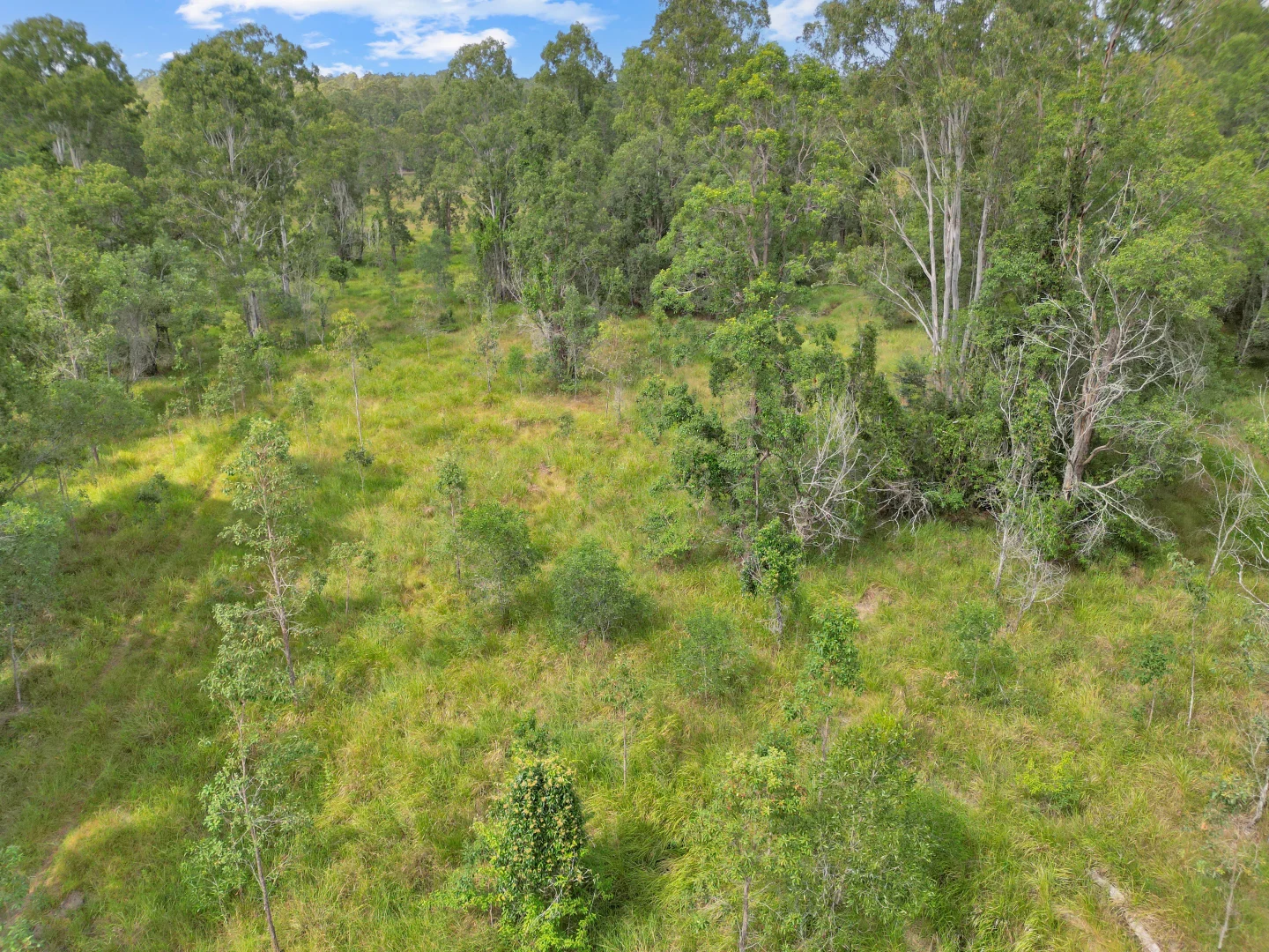 Additional image 3 of Lot 145 Ellangowan Myrtle Creek Road Ellangowan Via, Casino NSW 2470