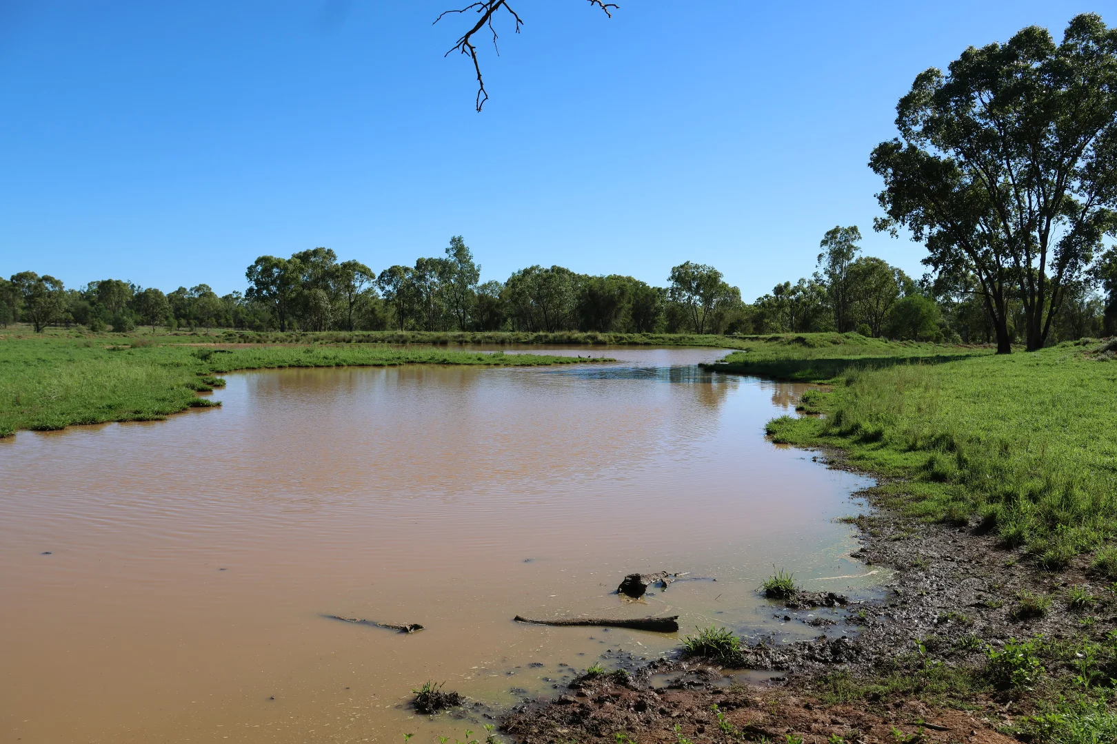 Additional image 5 of 3752 Mitchell Forest Vale Road, Mitchell QLD 4465