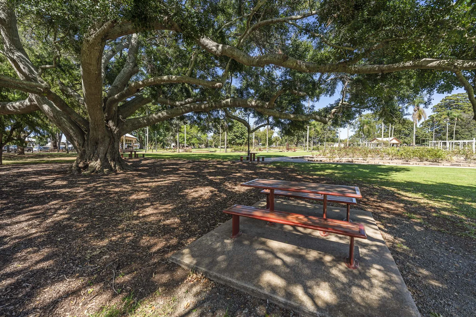 Additional image 18 of 6/7 Pottinger Street, Newtown QLD 4350
