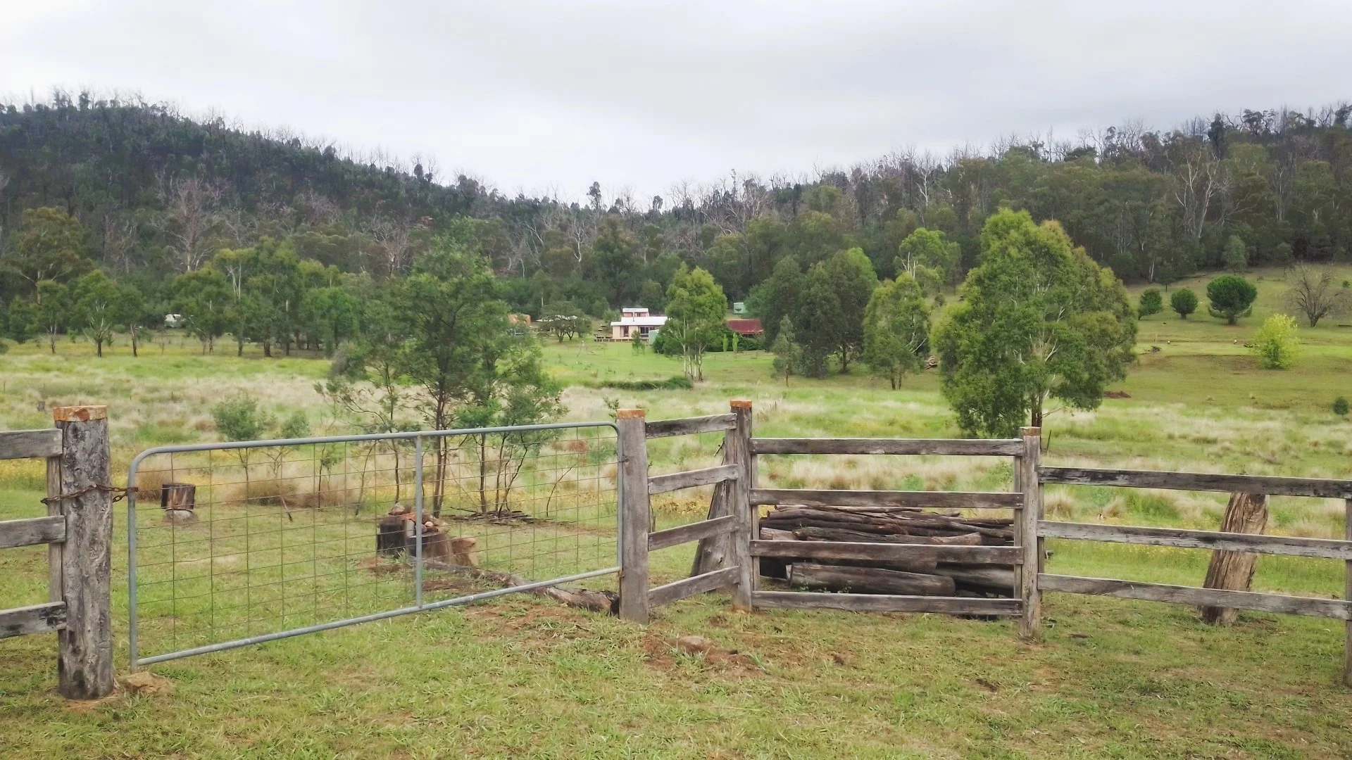 Additional image 4 of 1196 Nullo Mountain Rd, Nullo Mountain NSW 2849