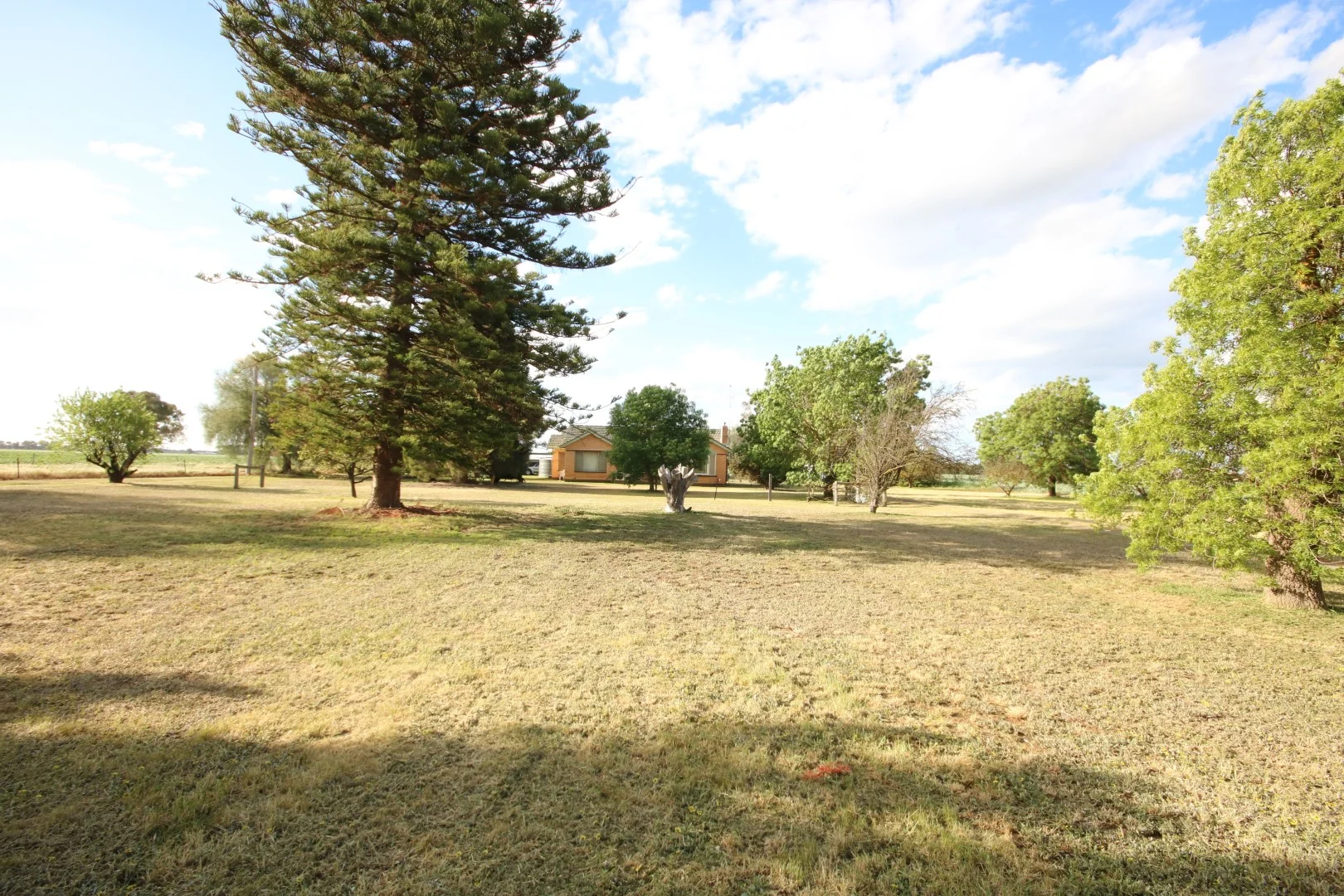 258 Black Culvert Rd, Rochester VIC 3561 photo 2