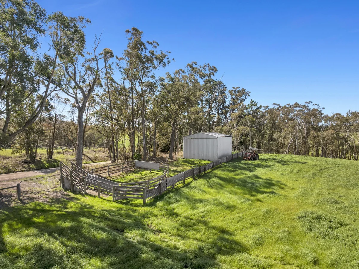 Additional image 11 of 109 Andersons Road, Yarragon VIC 3823