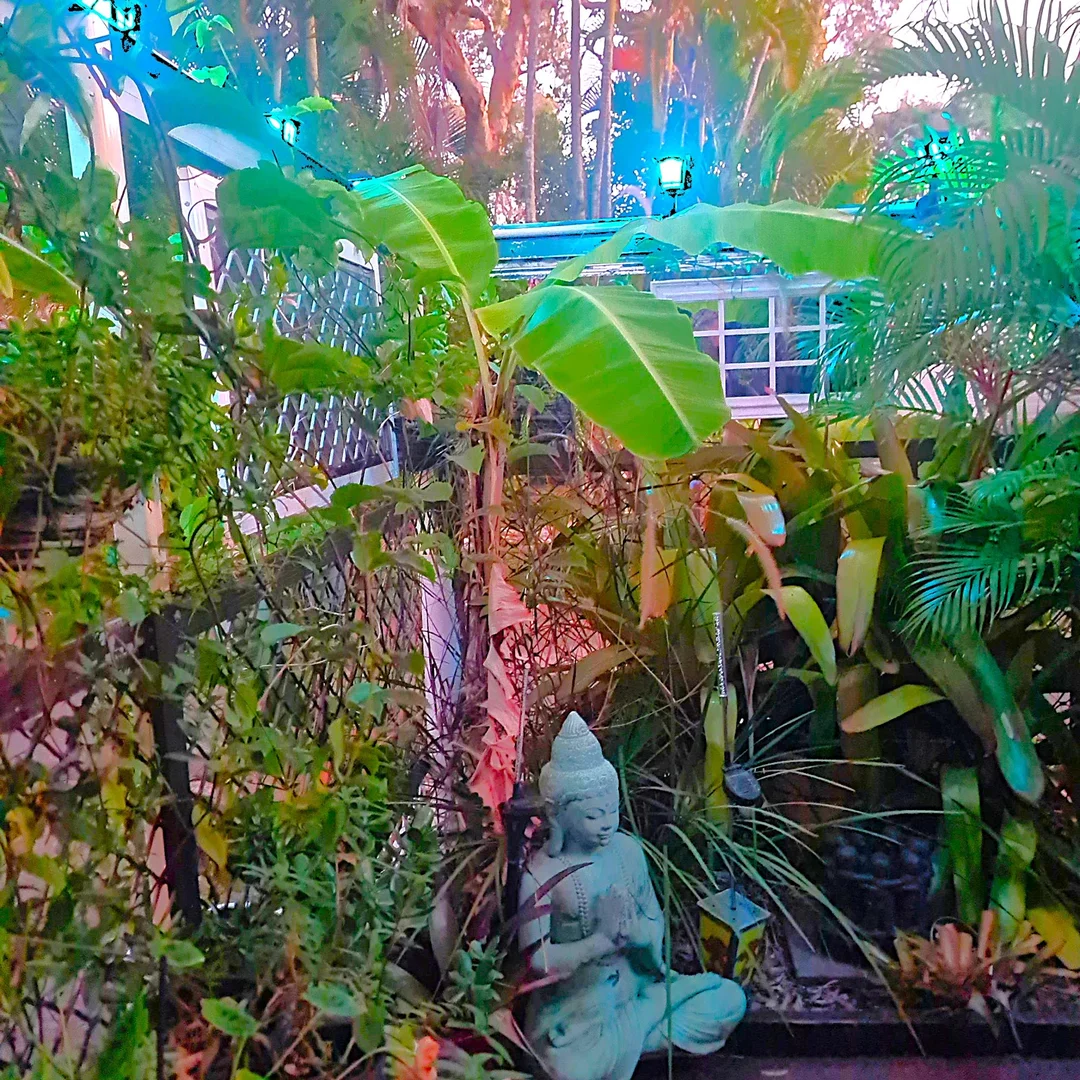 Additional image 13 of 27/1 Beerburrum Street, Dicky Beach QLD 4551