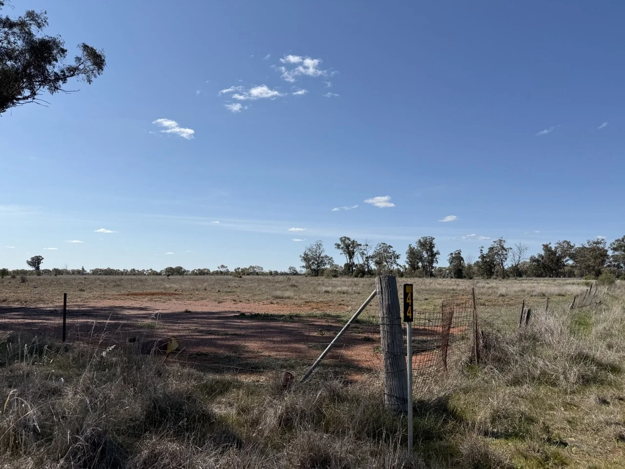 Additional image 4 of 44 Dows Lane, Peak Hill NSW 2869