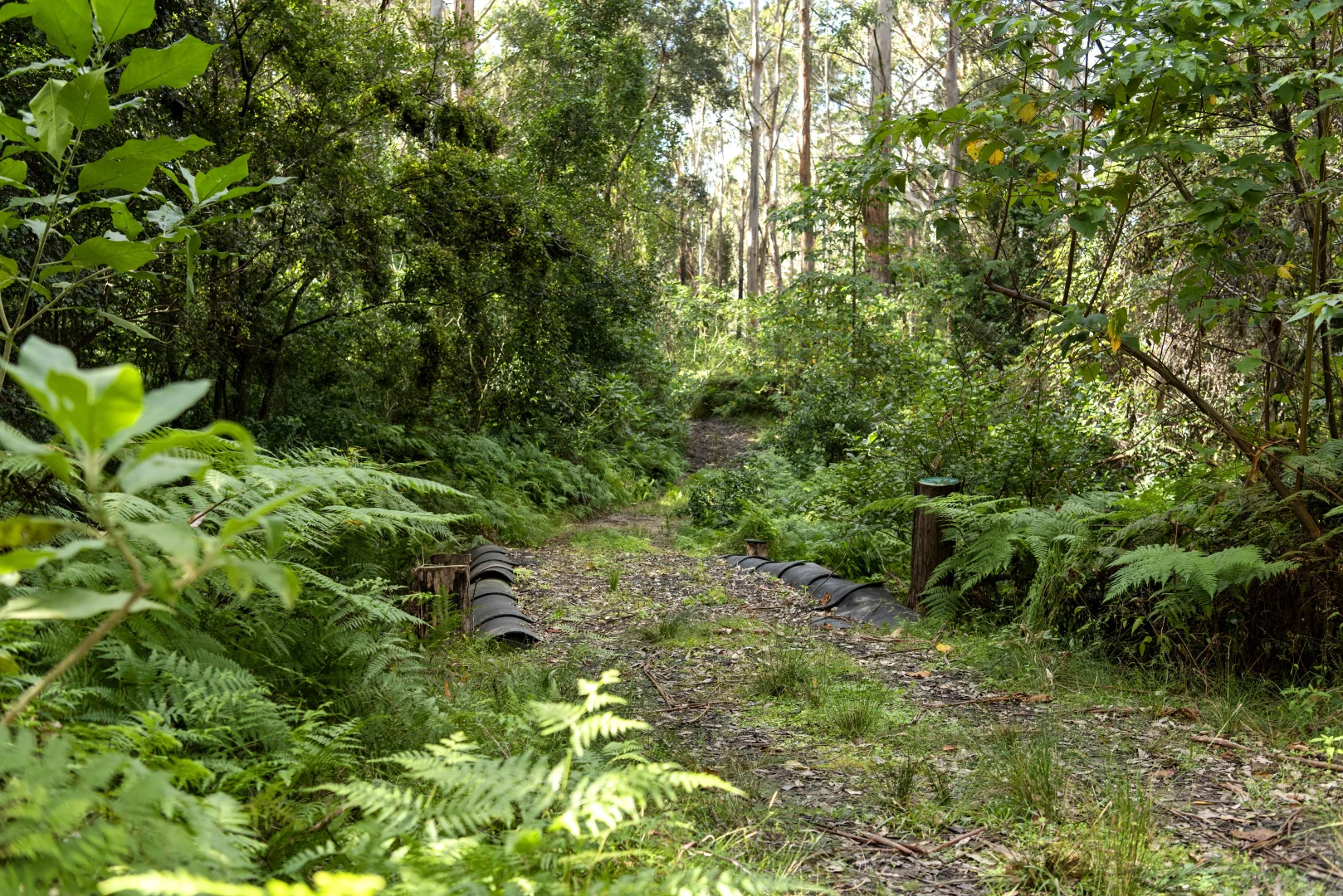 Additional image 19 of 669a Woodburn Road, Morton NSW 2538