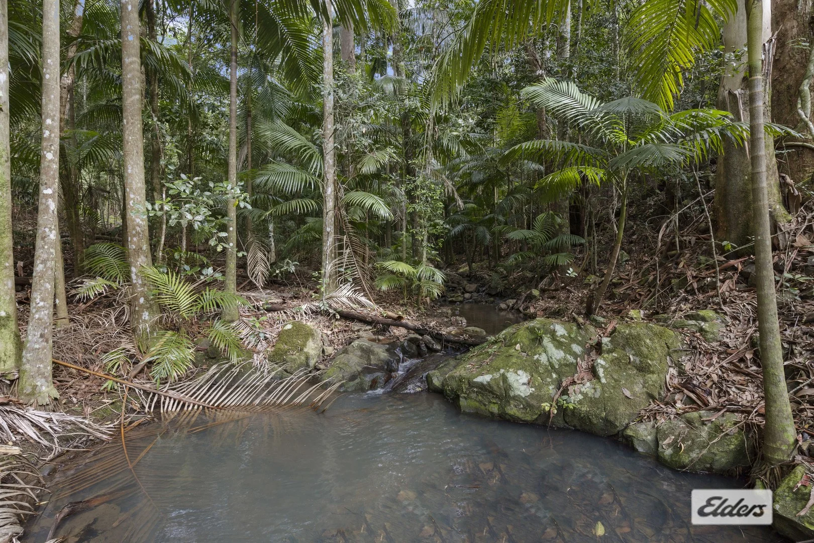 374 Couchy Creek Road, Numinbah NSW 2484