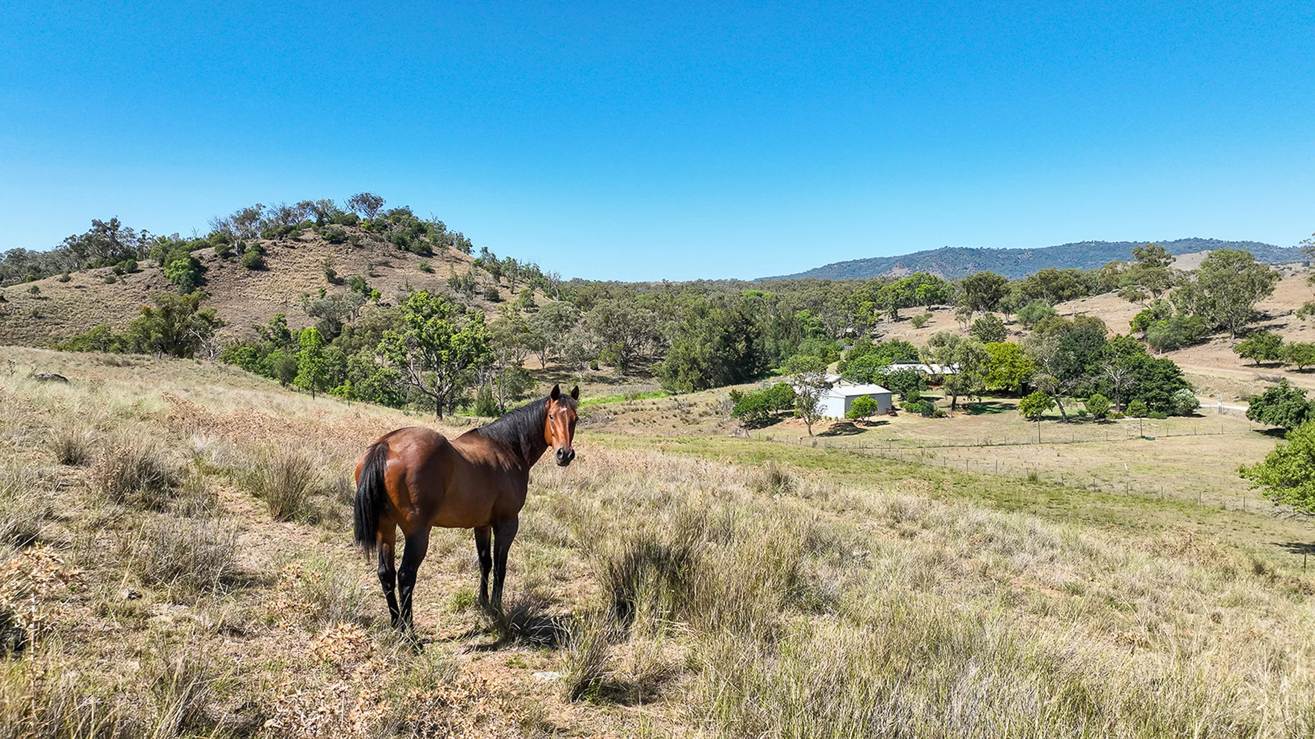 Additional image 18 of 6702A MANILLA ROAD, Red Hill NSW 2347