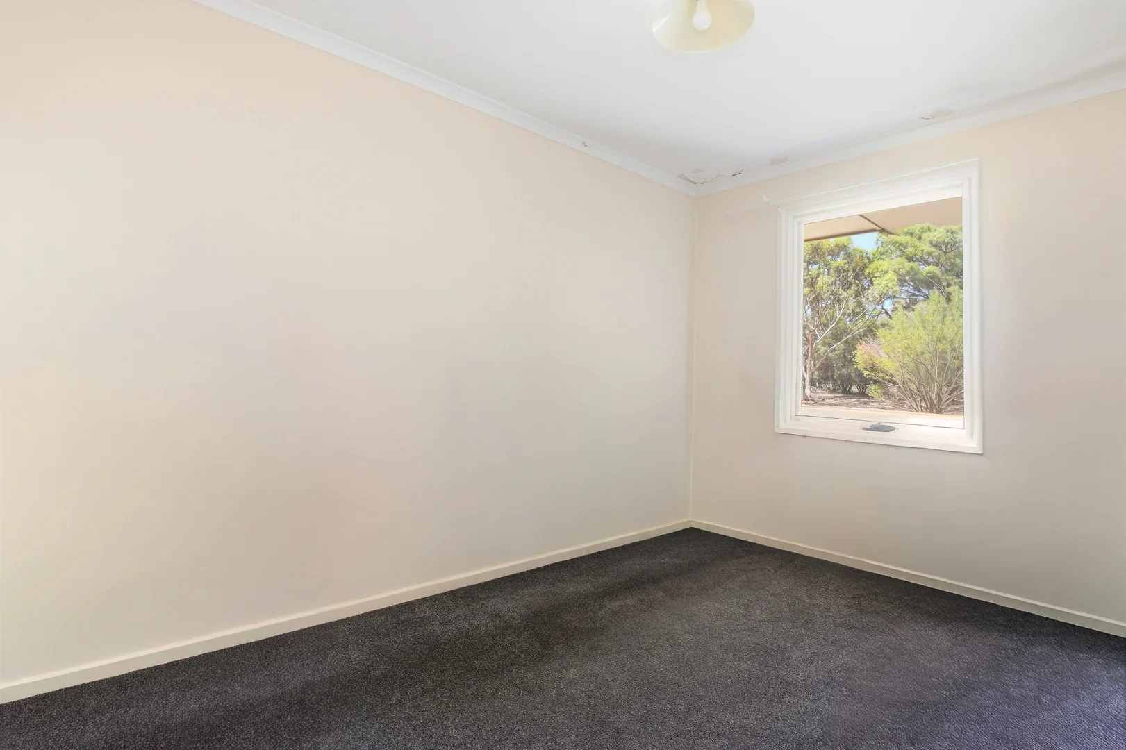 Additional image 8 of 21 Johnstone Avenue, Murray Bridge SA 5253