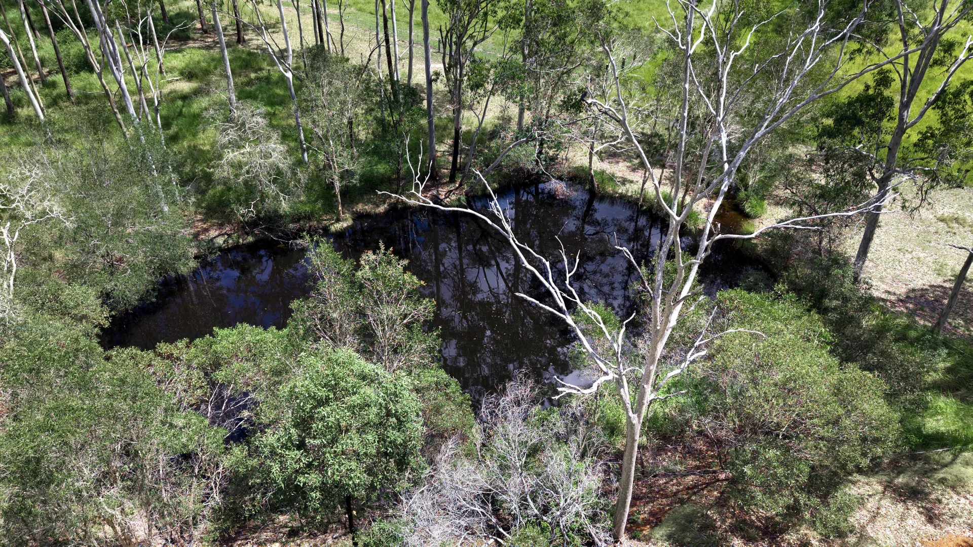 Additional image 31 of 796 Torbanlea - Pialba Road, Takura QLD 4655
