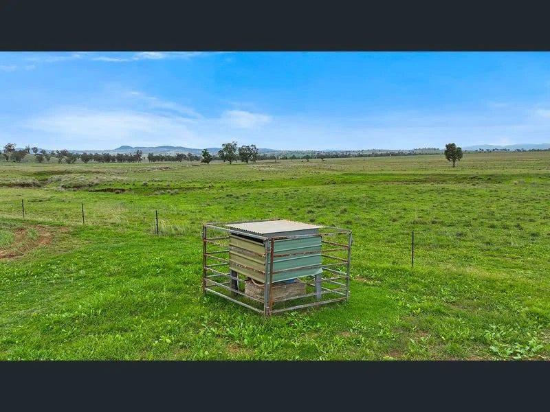 Additional image 22 of "La Trinidad", Tamworth NSW 2340