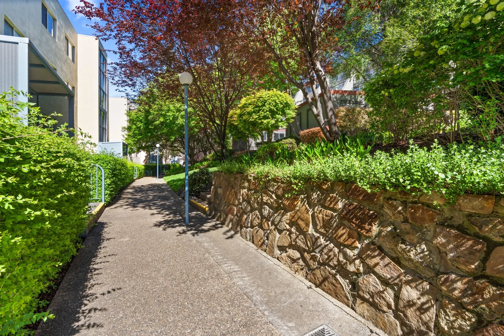 Additional image 8 of 44B/9 Chandler Street, Belconnen ACT 2617