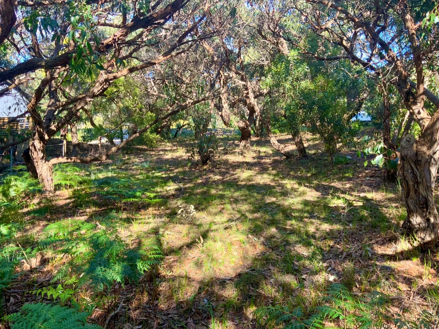 Additional image 3 of 11a Yandanah Road, Fairhaven VIC 3231