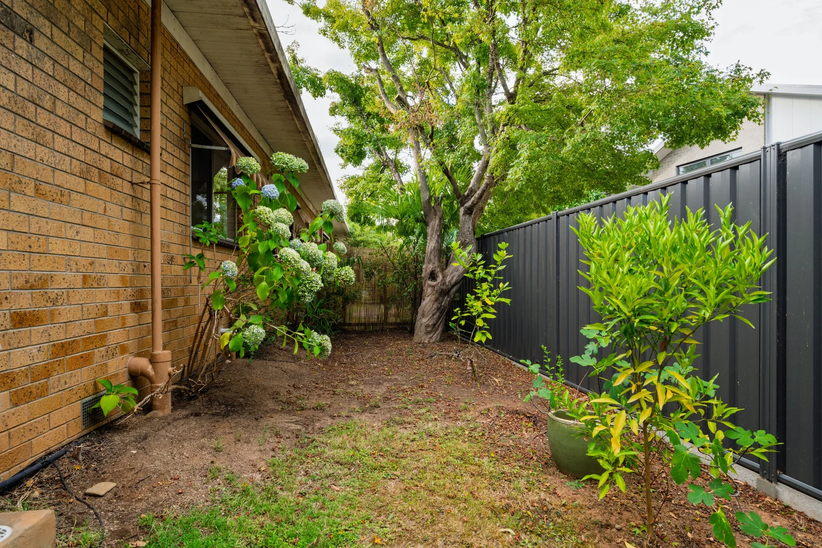 Additional image 14 of 6/2 Butler Court, Bright VIC 3741
