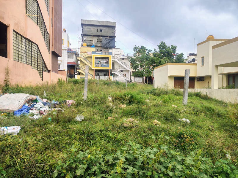 Electronic City, Bangalore photo 3