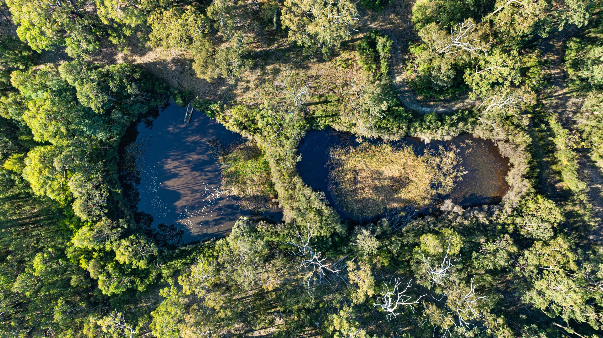 Additional image 3 of 110 Old Callignee Road, Callignee VIC 3844