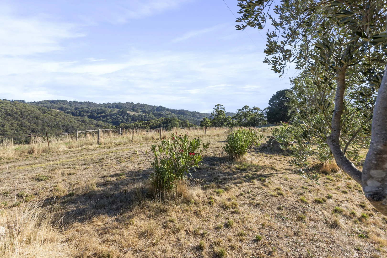 261 Range Road, Basket Range SA 5138 photo 5