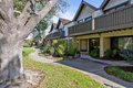 646 S Ahwanee Ter, Sunnyvale, CA, 94085