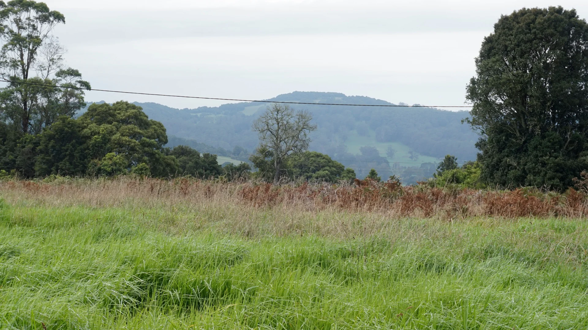 Additional image 18 of 15 Old Kangaloon Road, Robertson NSW 2577
