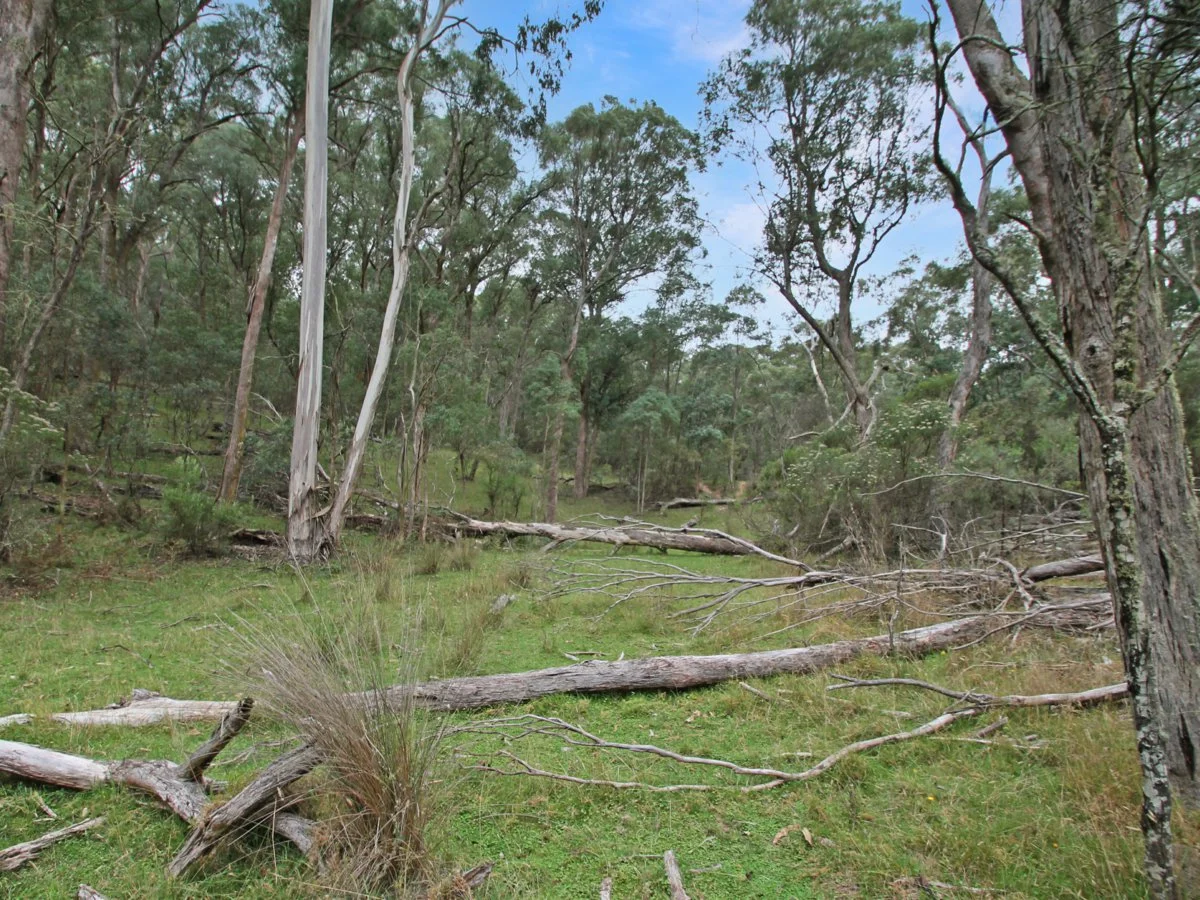 Additional image 7 of 135 Kangaroo Track, Omeo VIC 3898