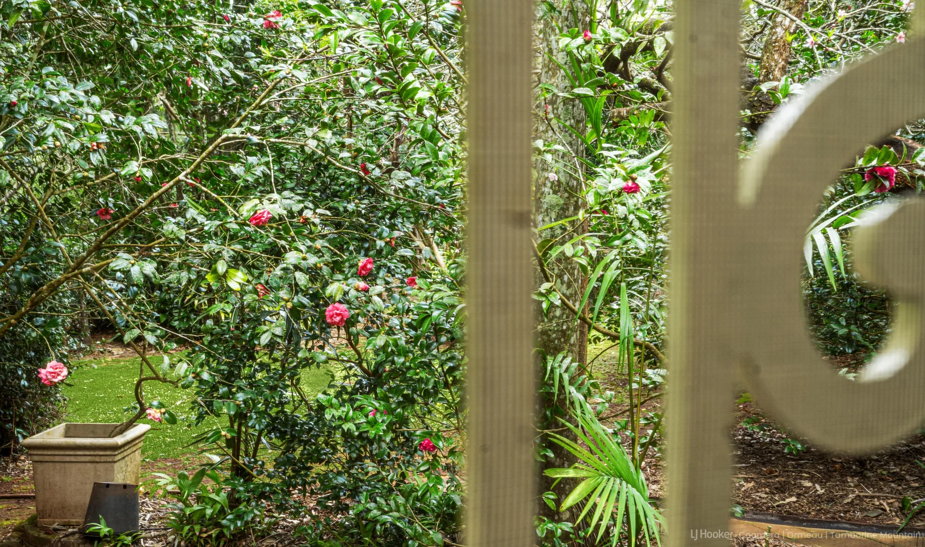 Additional image 20 of 19 Kidd Street, Tamborine Mountain QLD 4272