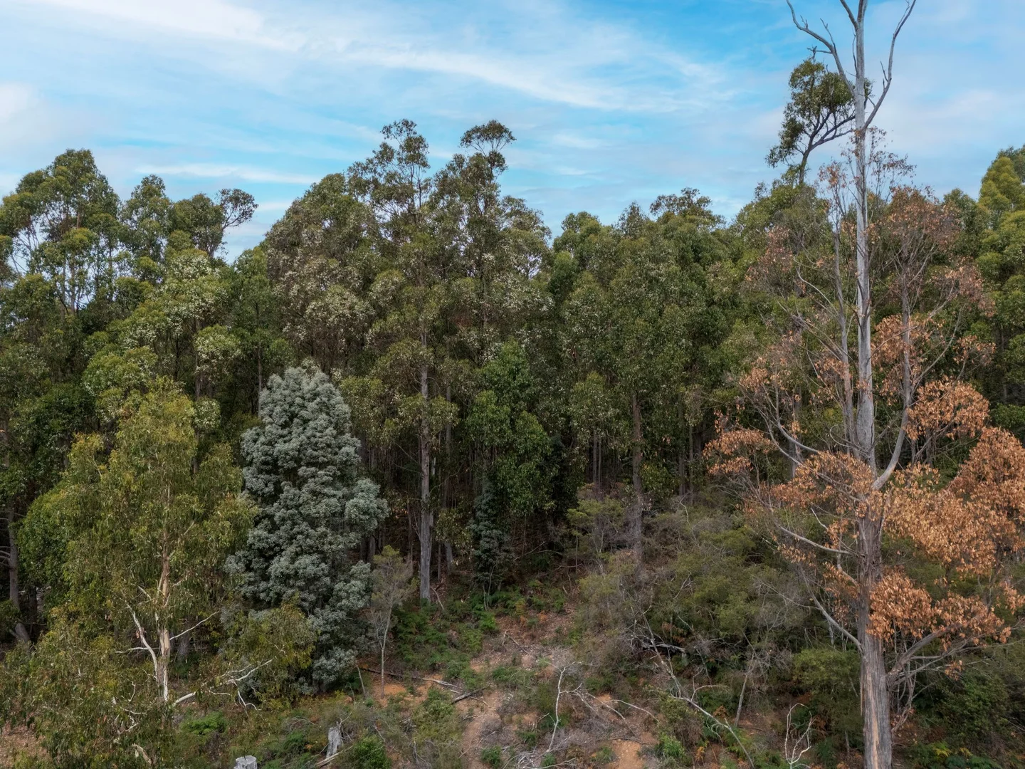 Additional image 5 of 1015 West Kentish Road, West Kentish TAS 7306