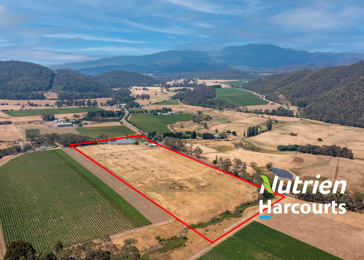 564 Upper King River Road, Cheshunt South VIC 3678